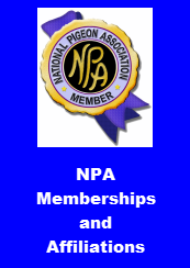 NPA Memberships and Affiliations